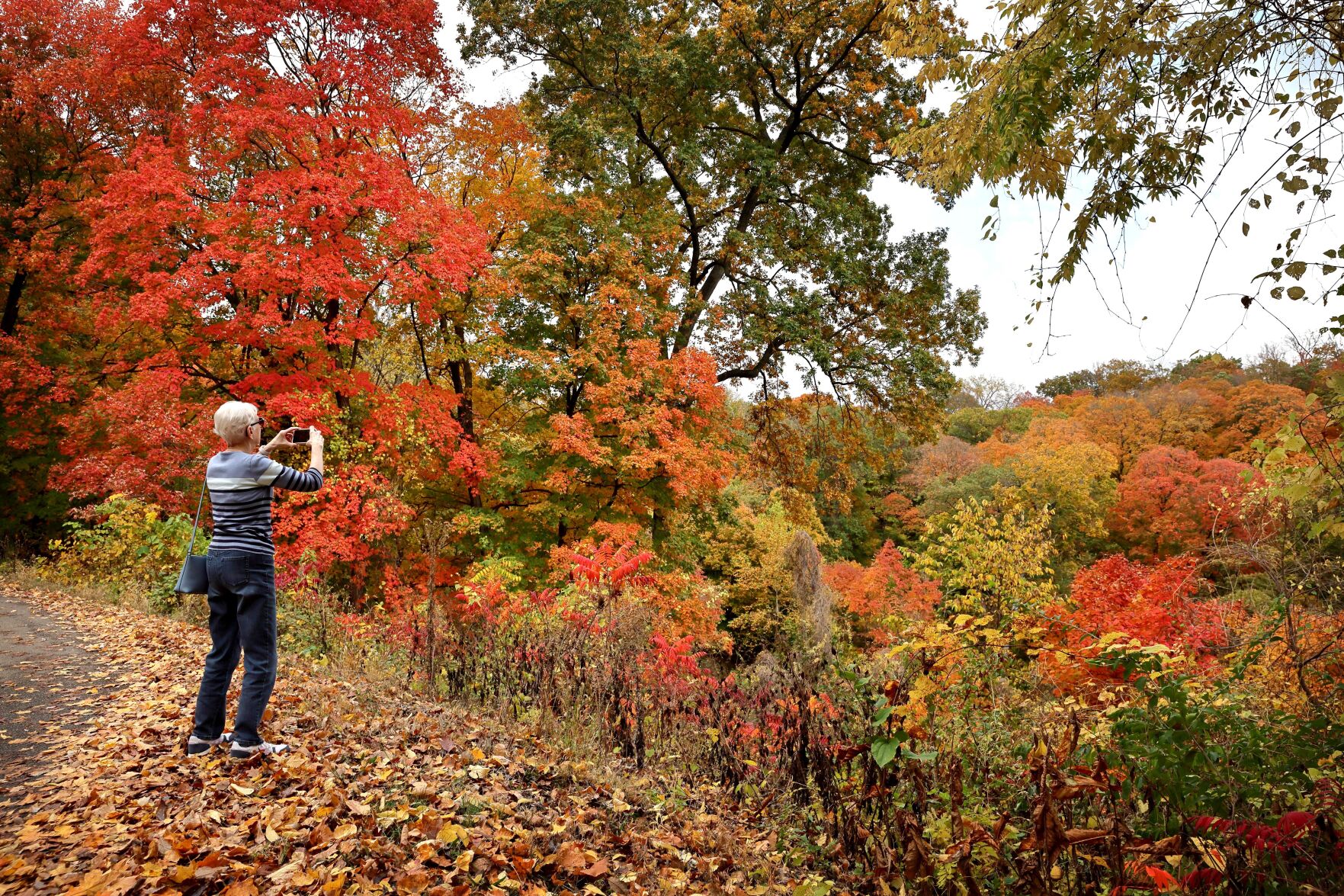 Fall colors in Pere Marquette State Park